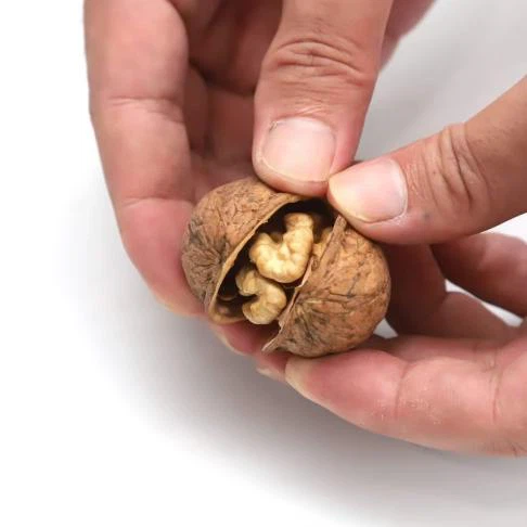 Nueces secas