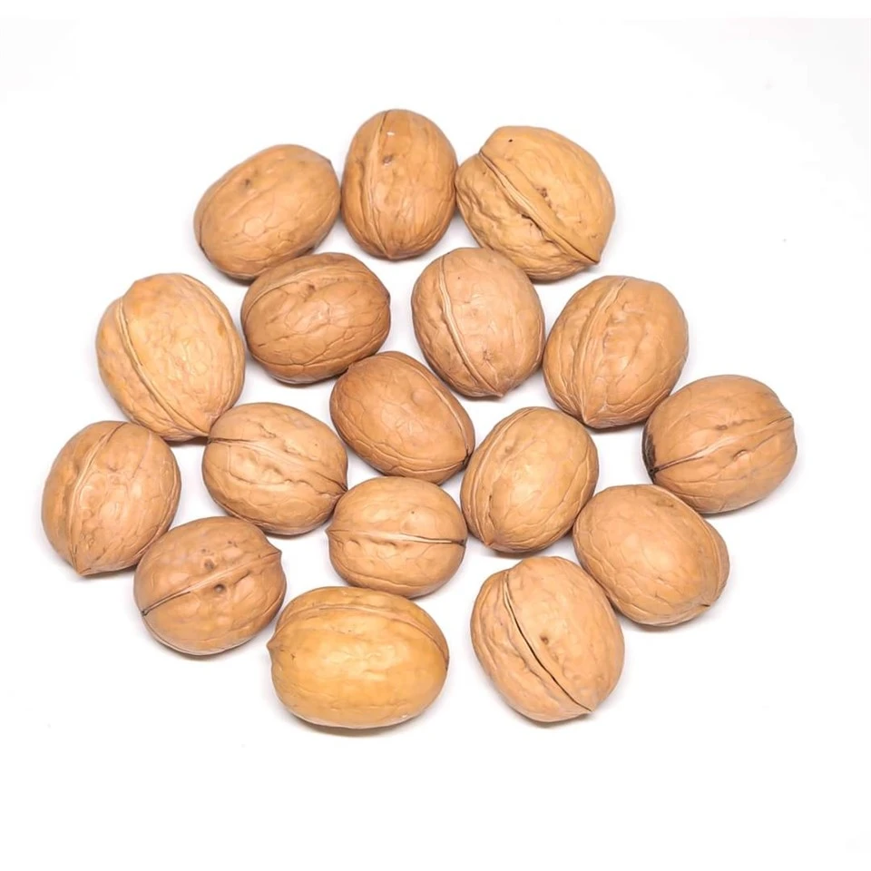 Natural Shelled Walnuts